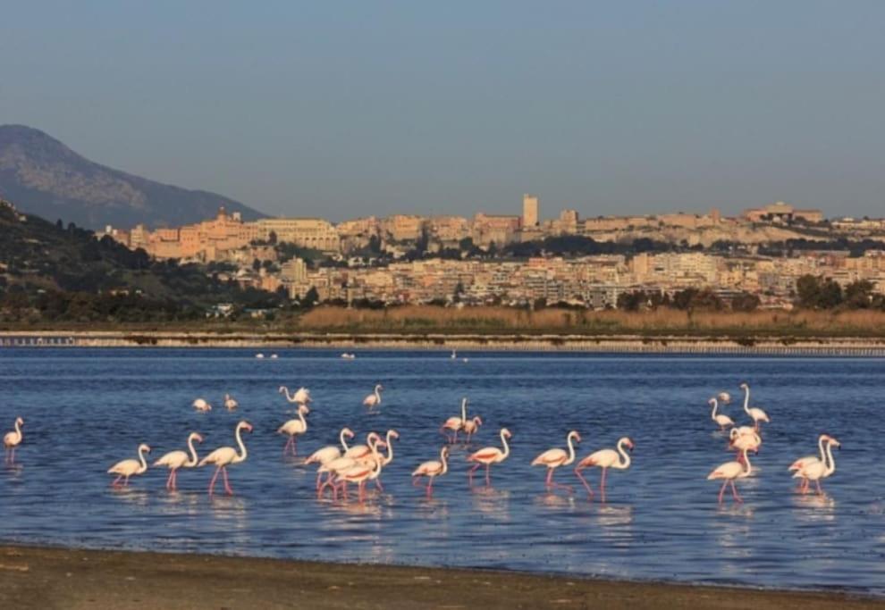 Stupenda Suite A Cagliari Piazza Galilei Екстер'єр фото